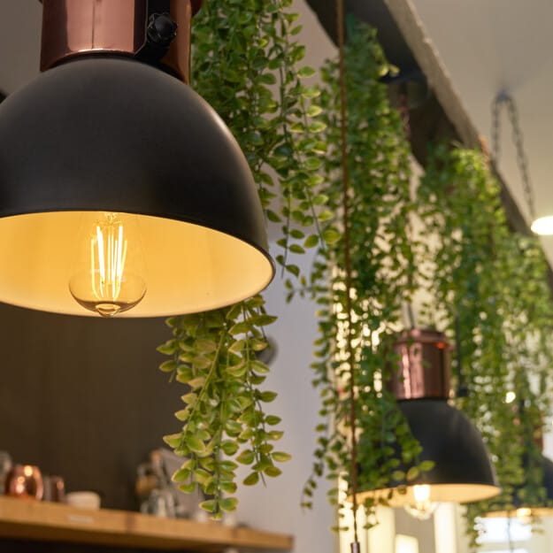 Shelly Vintage ST64 (05)